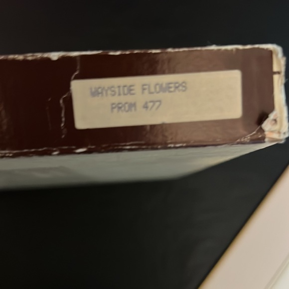 Vintage Clover leaf beautiful placemats made with cork backings Set of 6 - Picture 3 of 12